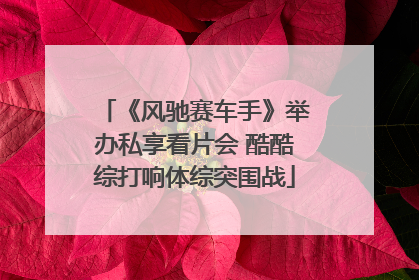 《风驰赛车手》举办私享看片会 酷酷综打响体综突围战