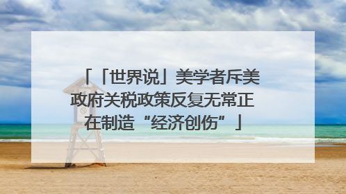 「世界说」美学者斥美政府关税政策反复无常正在制造“经济创伤”