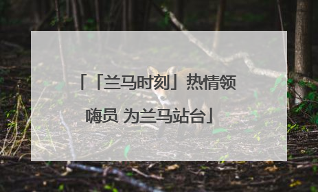 「兰马时刻」热情领嗨员 为兰马站台