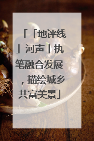 「地评线」河声丨执笔融合发展，描绘城乡共富美景