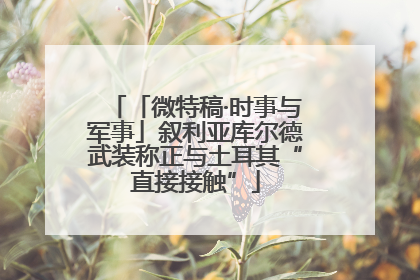 「微特稿·时事与军事」叙利亚库尔德武装称正与土耳其“直接接触”