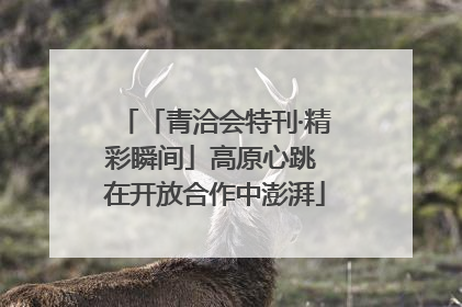 「青洽会特刊·精彩瞬间」高原心跳 在开放合作中澎湃