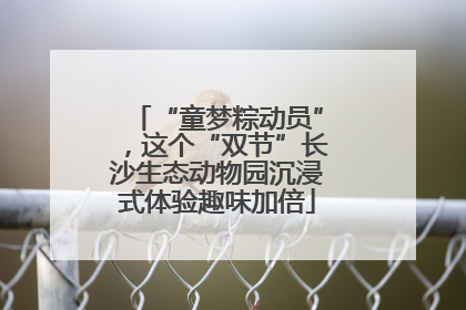 “童梦粽动员”，这个“双节”长沙生态动物园沉浸式体验趣味加倍