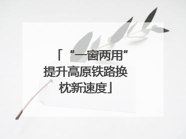 “一窗两用”提升高原铁路换枕新速度