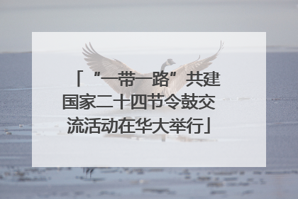 “一带一路”共建国家二十四节令鼓交流活动在华大举行