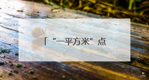 “一平方米”点燃科学探究火种——浙江省武义县桐琴镇中心小学科学教育的新探索