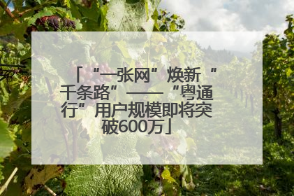 “一张网”焕新“千条路”——“粤通行”用户规模即将突破600万