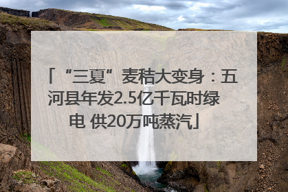 “三夏”麦秸大变身：五河县年发2.5亿千瓦时绿电 供20万吨蒸汽