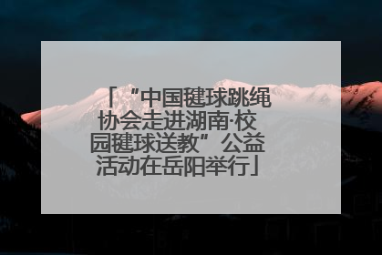 “中国毽球跳绳协会走进湖南·校园毽球送教”公益活动在岳阳举行