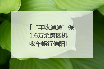 “丰收通途”保1.6万余跨区机收车畅行信阳