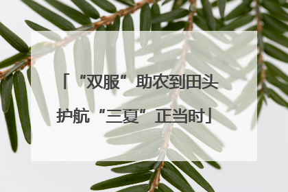 “双服”助农到田头 护航“三夏”正当时