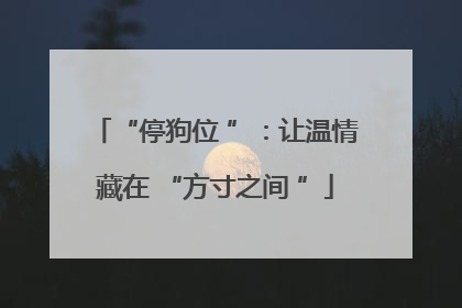 “停狗位 ”：让温情藏在 “方寸之间 ”
