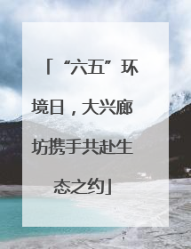“六五”环境日，大兴廊坊携手共赴生态之约