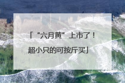 “六月黄”上市了！超小只的可按斤买