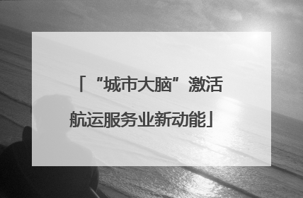 “城市大脑”激活航运服务业新动能
