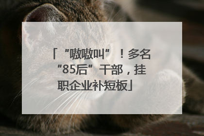 “嗷嗷叫”！多名“85后”干部，挂职企业补短板