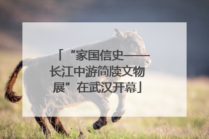 “家国信史——长江中游简牍文物展”在武汉开幕