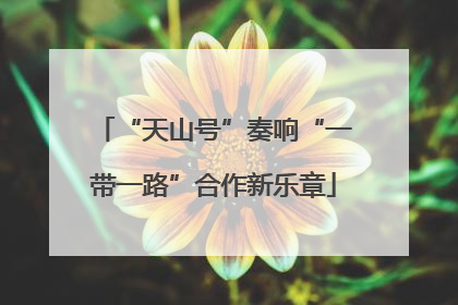“天山号”奏响“一带一路”合作新乐章