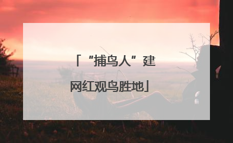 “捕鸟人”建网红观鸟胜地