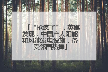 “抢疯了”，英媒发现：中国产太阳能和风能发电设施，备受邻国热捧