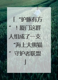 “护豚有方”！厦门这群人组成了一支“海上大熊猫”守护者联盟