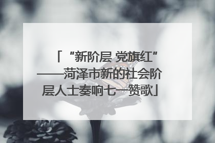 “新阶层 党旗红”——菏泽市新的社会阶层人士奏响七一赞歌