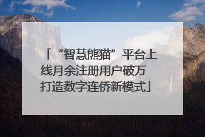 “智慧熊猫”平台上线月余注册用户破万 打造数字连侨新模式
