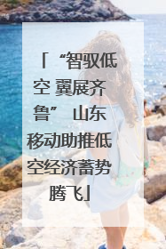 “智驭低空 翼展齐鲁” 山东移动助推低空经济蓄势腾飞