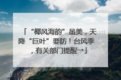 “椰风海韵”虽美，天降“巨叶”要防！台风季，有关部门提醒→