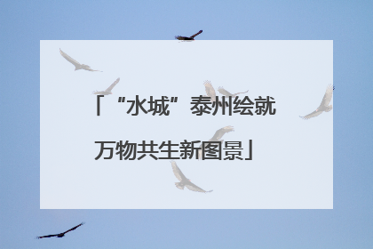 “水城”泰州绘就万物共生新图景