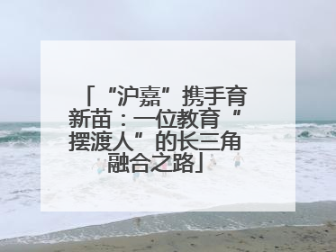 “沪嘉”携手育新苗：一位教育“摆渡人”的长三角融合之路