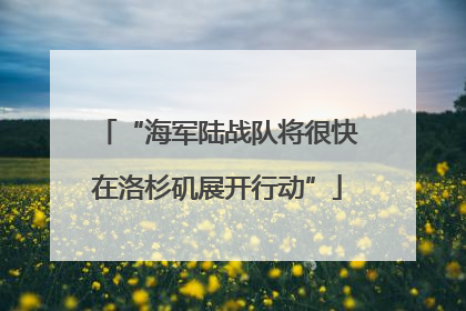 “海军陆战队将很快在洛杉矶展开行动”