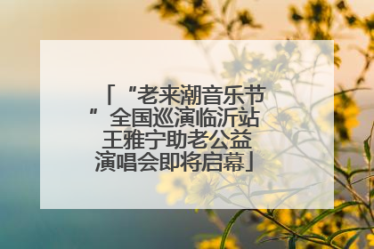 “老来潮音乐节”全国巡演临沂站 王雅宁助老公益演唱会即将启幕