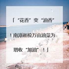 “花香”变“油香”！南漳巡检万亩油菜为增收“加油”！