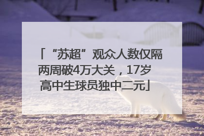 “苏超”观众人数仅隔两周破4万大关，17岁高中生球员独中二元