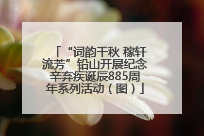 “词韵千秋 稼轩流芳”铅山开展纪念辛弃疾诞辰885周年系列活动（图）