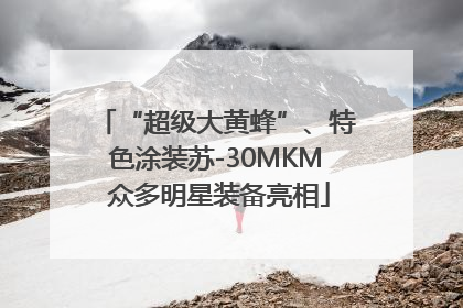 “超级大黄蜂”、特色涂装苏-30MKM 众多明星装备亮相