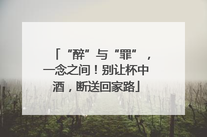 “醉”与“罪”，一念之间！别让杯中酒，断送回家路