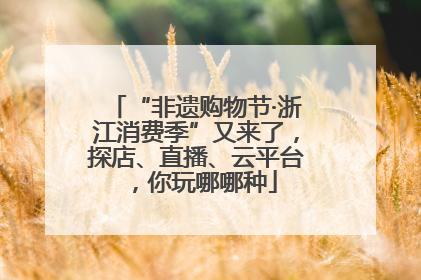 “非遗购物节·浙江消费季”又来了，探店、直播、云平台，你玩哪哪种