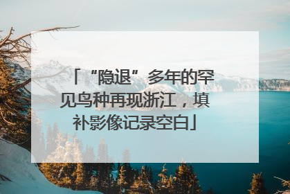 “隐退”多年的罕见鸟种再现浙江，填补影像记录空白