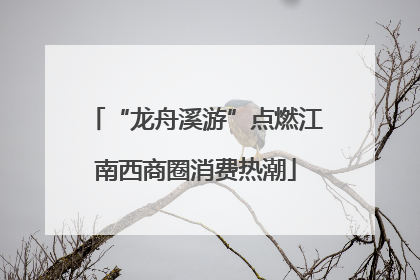 “龙舟溪游”点燃江南西商圈消费热潮