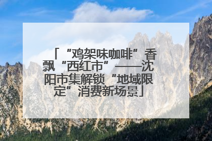 “鸡架味咖啡”香飘“西红市”——沈阳市集解锁“地域限定”消费新场景