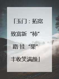 玉门：拓宽致富新“柿”路 挂“果”丰收笑满颜