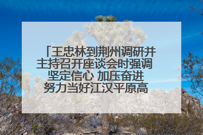 王忠林到荆州调研并主持召开座谈会时强调 坚定信心 加压奋进 努力当好江汉平原高质量发展排头兵
