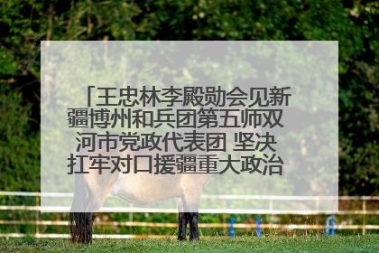 王忠林李殿勋会见新疆博州和兵团第五师双河市党政代表团 坚决扛牢对口援疆重大政治责任 推动双方实现优势互补务实合作