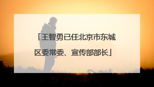 王智勇已任北京市东城区委常委、宣传部部长