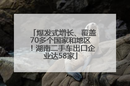 爆发式增长、覆盖70多个国家和地区！湖南二手车出口企业达58家