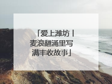 爱上潍坊丨麦浪翻涌里写满丰收故事