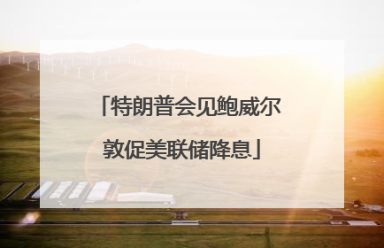 特朗普会见鲍威尔 敦促美联储降息