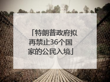 特朗普政府拟再禁止36个国家的公民入境